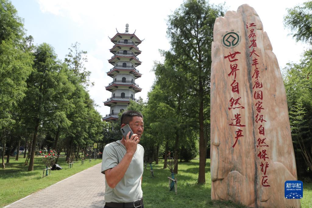 欢乐炸三张下载手机版